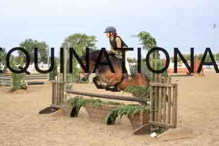 BCX-1350