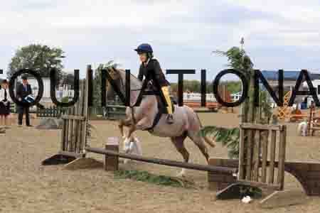BCX-1602