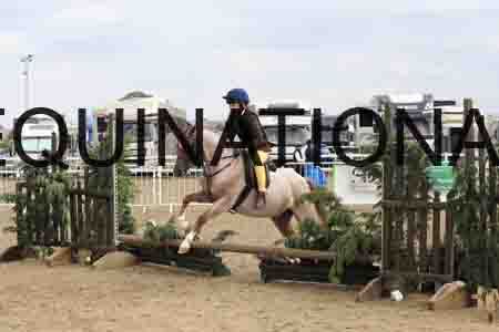 BCX-1604