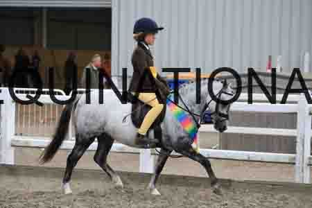 BCX-2012