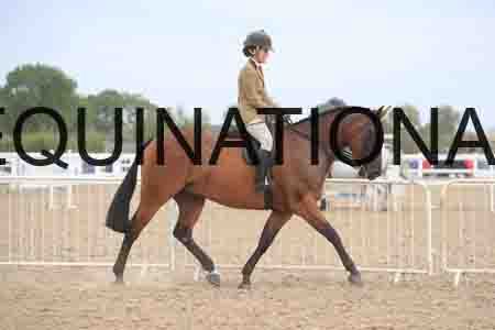 DSQ-1417