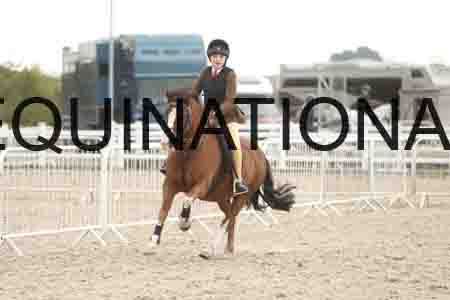 MFW-1268