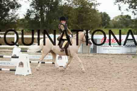 MFW-1590