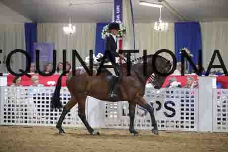 LEX-2091