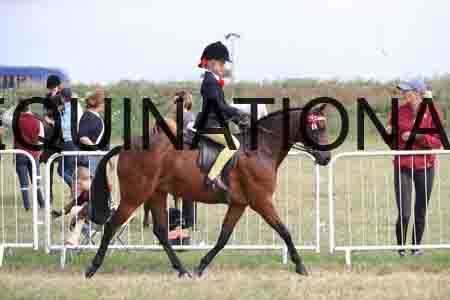 HHL-1549