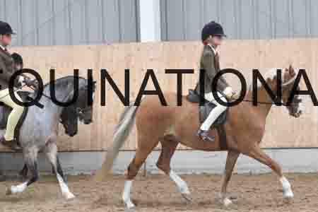 HHL-2022