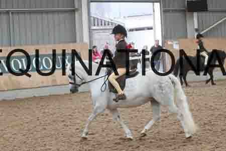 HHL-2081