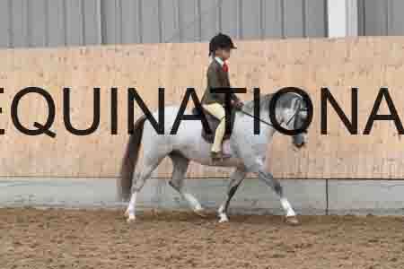 HHL-2343