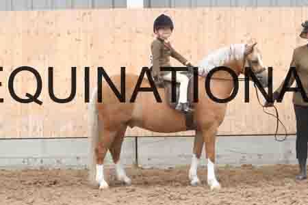 HHL-2710