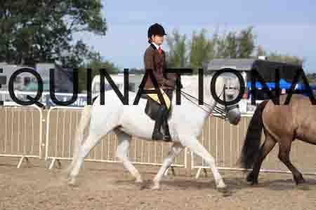 POT-1357