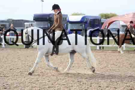 POT-1464