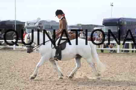 POT-1465