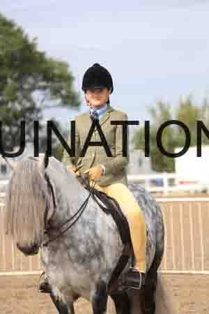 POT-1557