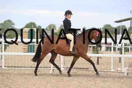 POT-2192