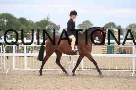 POT-2207