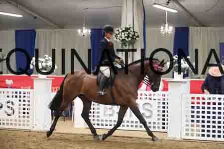 ERY-1170