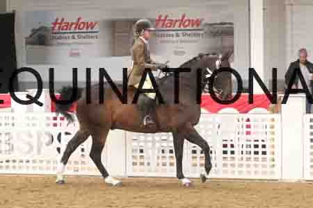 ERY-1325