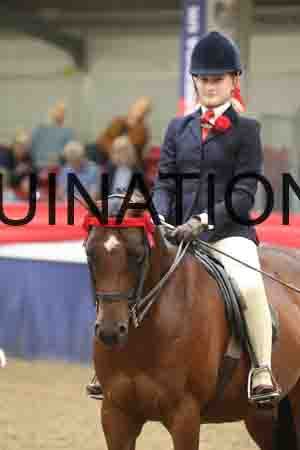 ERY-1603