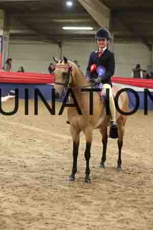ERY-1653