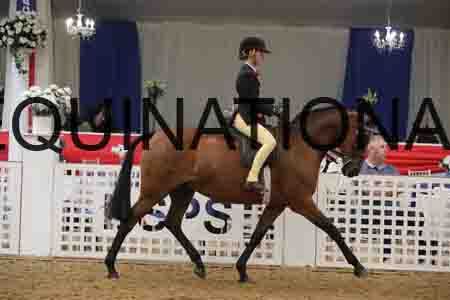 ERY-1808