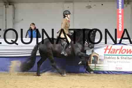 DPA-1915