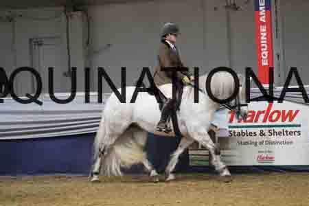 DPA-2016