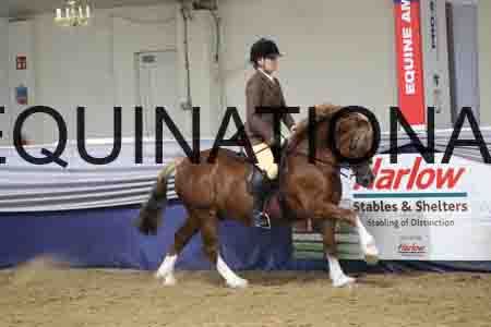 RUV-2630