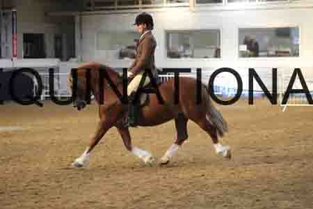 RUV-2668