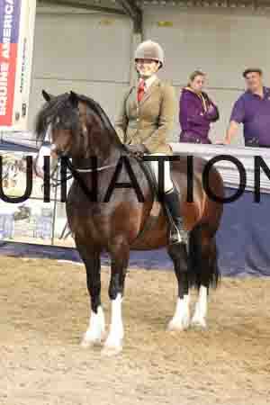RUV-2670