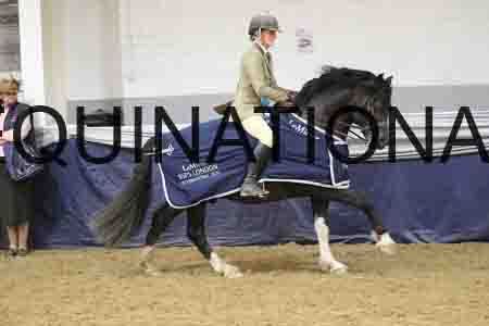 RUV-2778
