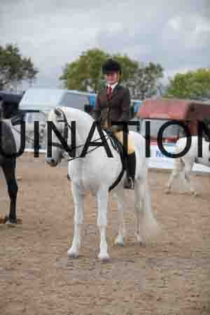 TWD-1458