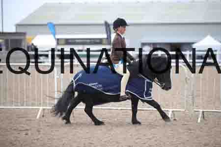 TWD-1617
