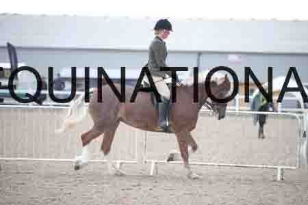 TWD-1762