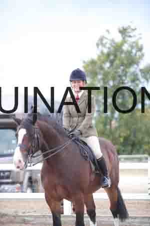 TWD-1911