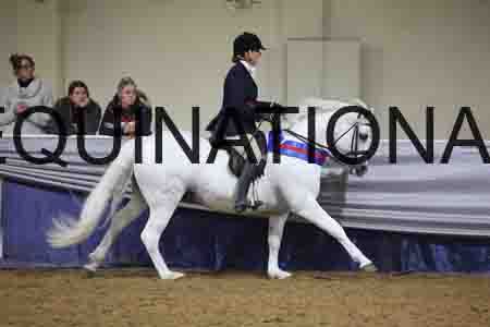 XFZ-1060