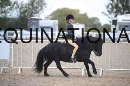 RSE-1718