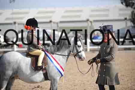 RSE-2181