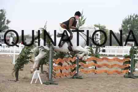AKM-1131