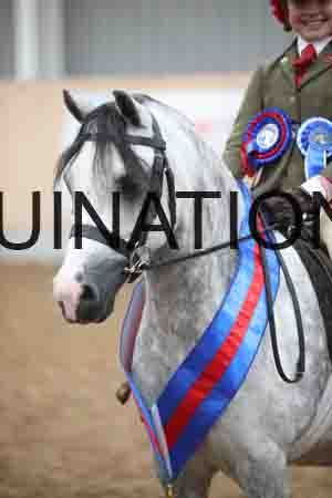 OQB-1290