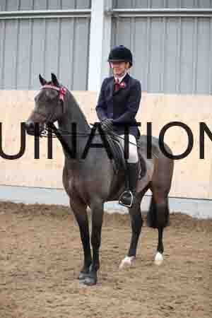 OQB-1909