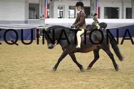 RUV-1123