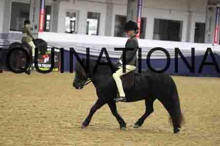 RUV-1126