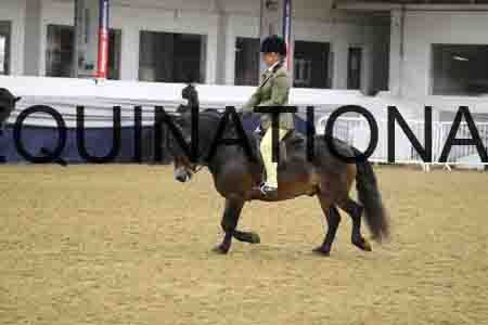RUV-1138