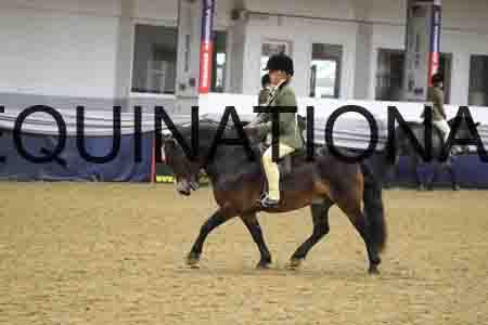 RUV-1139