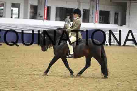 RUV-1141