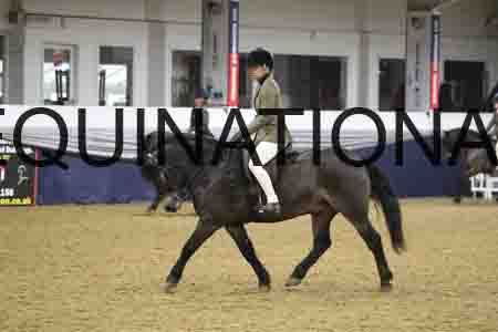 RUV-1152