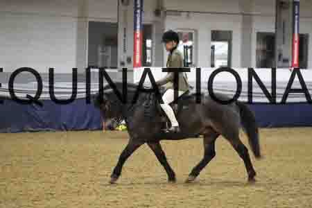 RUV-1153