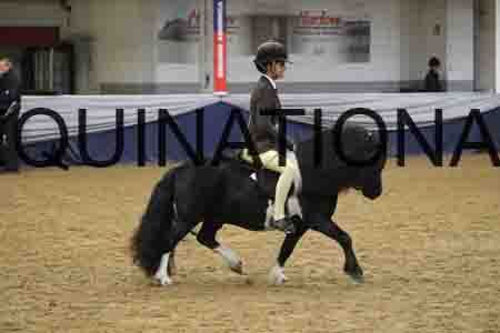 RUV-1327
