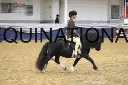 RUV-1328