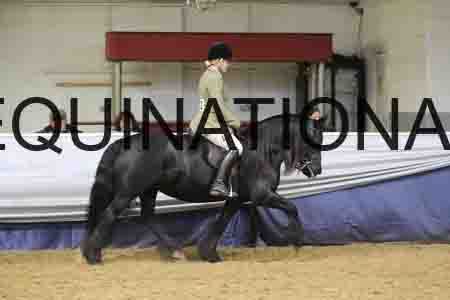 RUV-1429